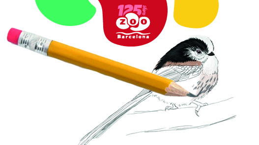 Concurso de dibujo