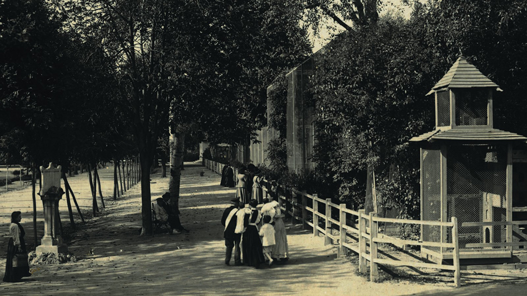 1893 - Zoo Barcelona