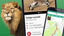 App Zoo de Barcelona