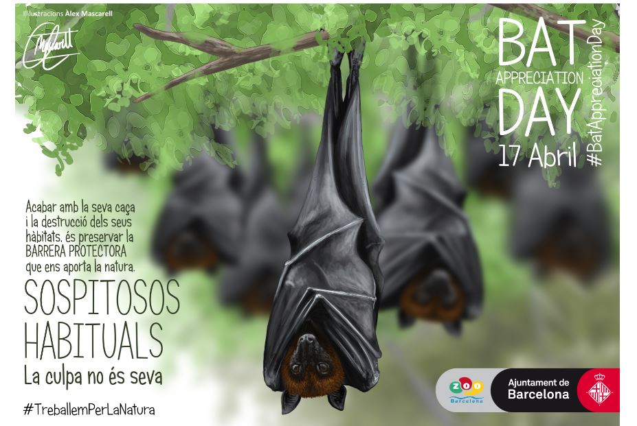 Bat Appreciation Day