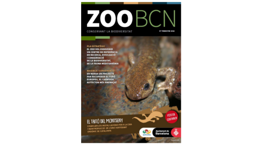 Revista ZOO BCN