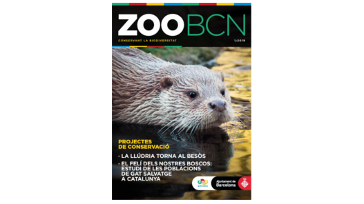 Revista ZOO BCN
