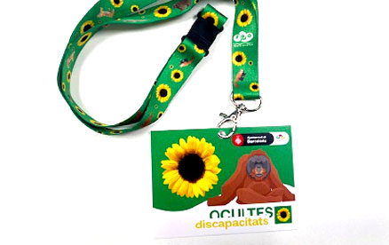 cintes identificatives