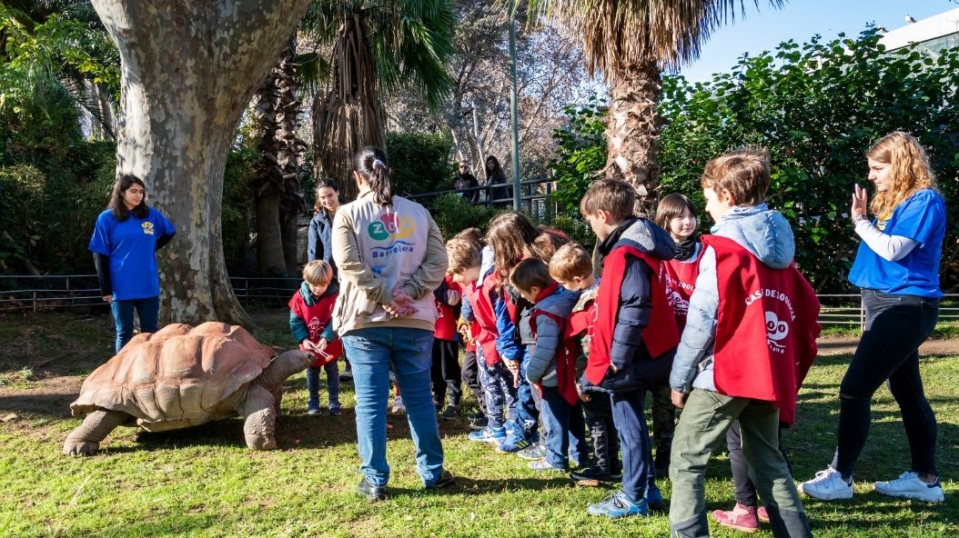 Zoo Barcelona