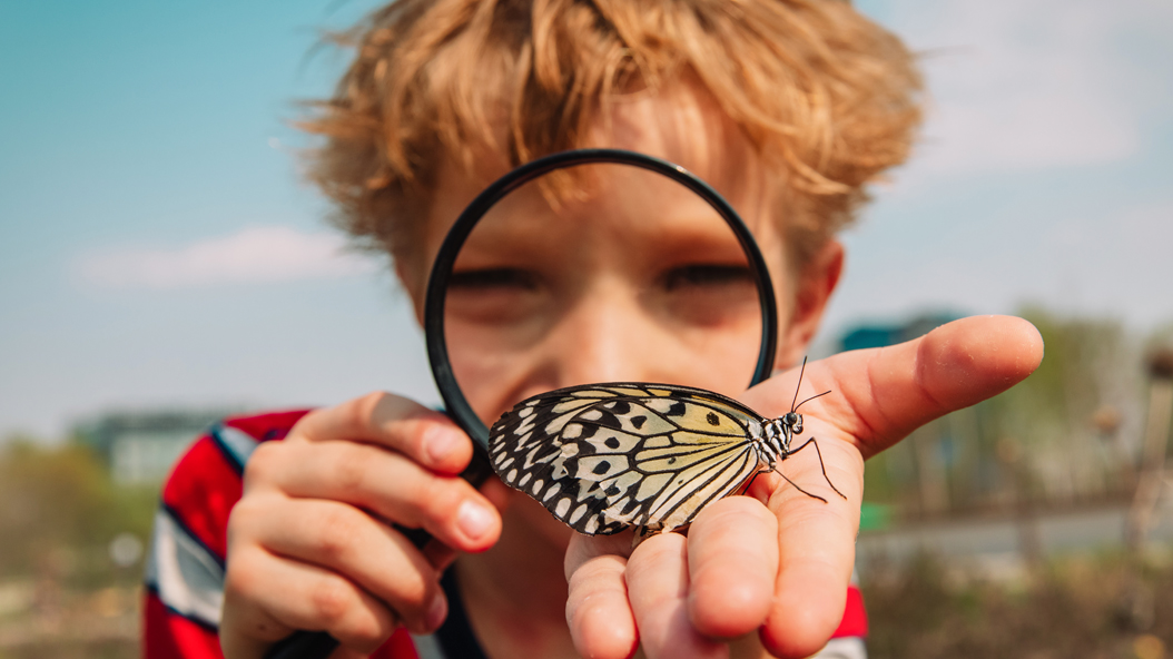 guardians de la natura