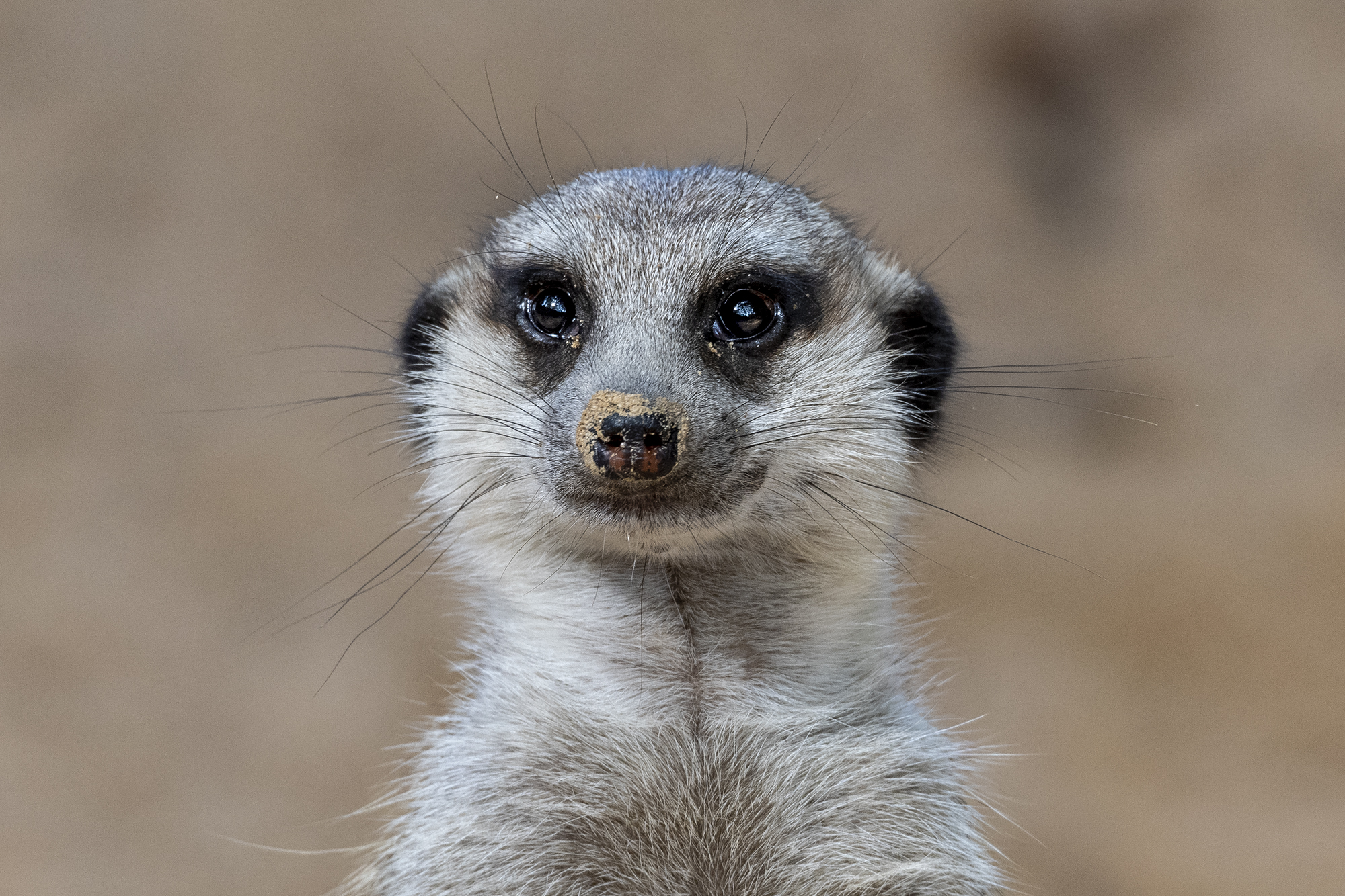 Trobades amb cuidadores i cuidadors