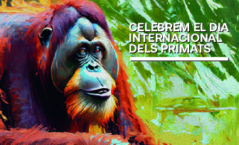 Dia Internacional dels Primats 2026