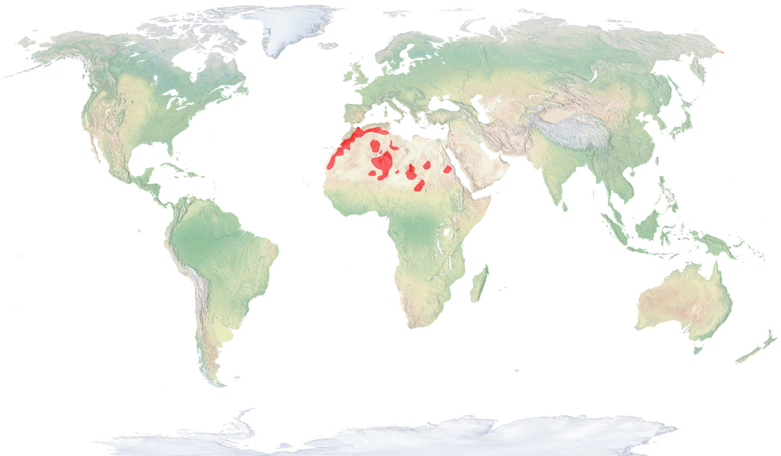 Muflón del Atlas mapa