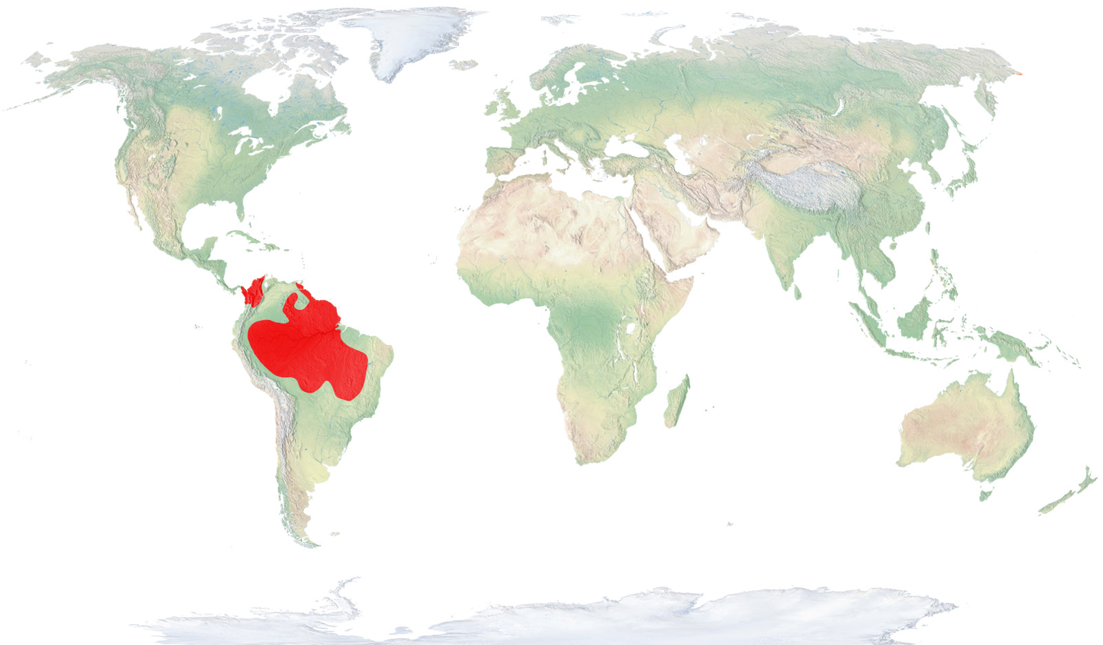 From the east of Panama and Trinidad south to Paraguay and Brazil.