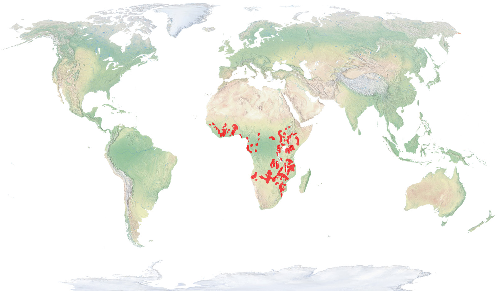 Hipopótamo común mapa