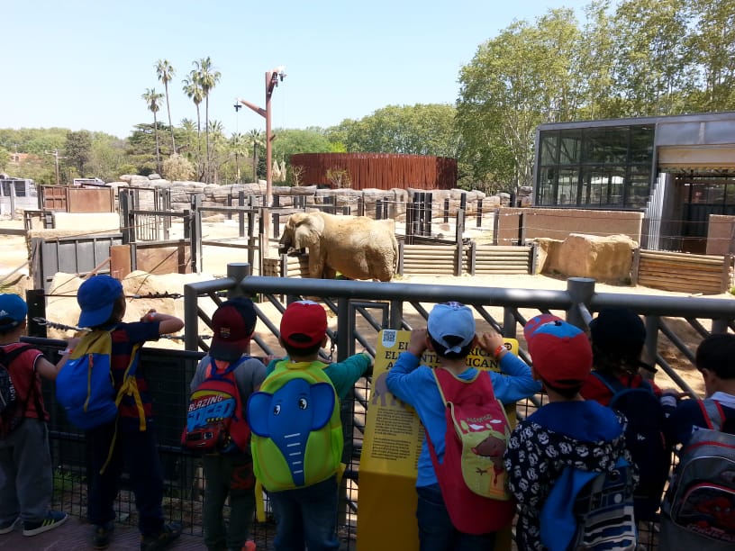 niños instalaciòn elefantes