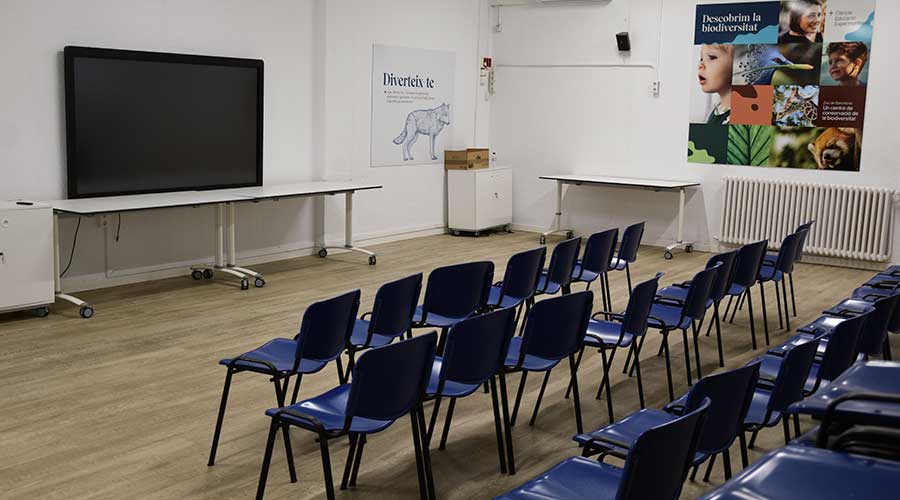 aula polivalent