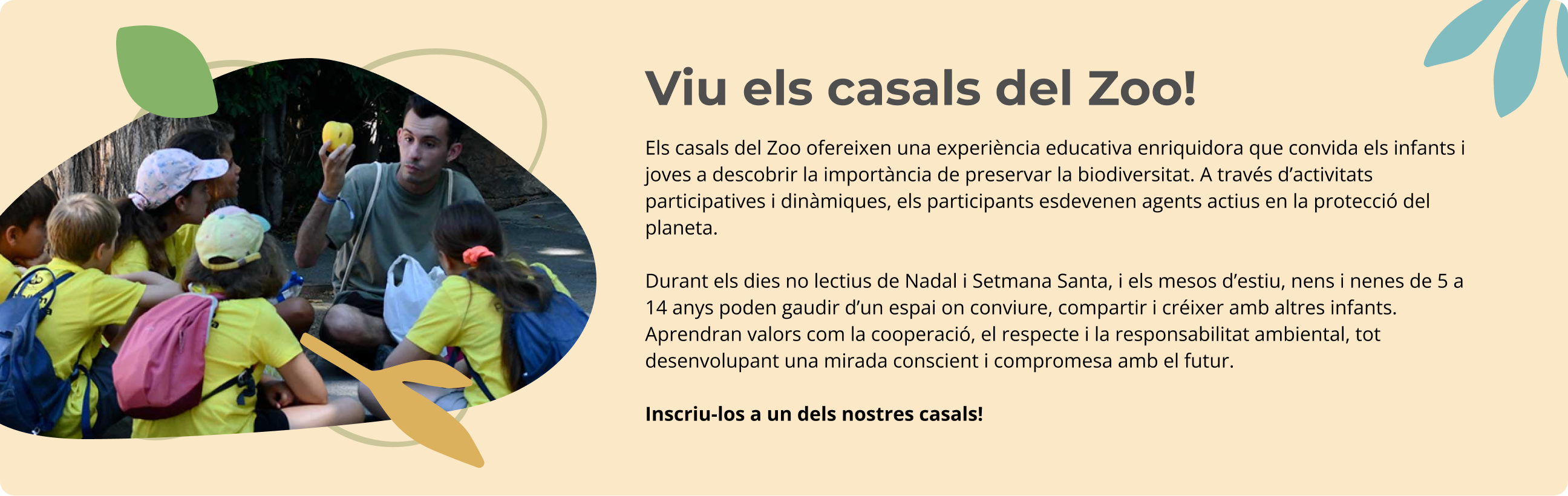 viu els casals