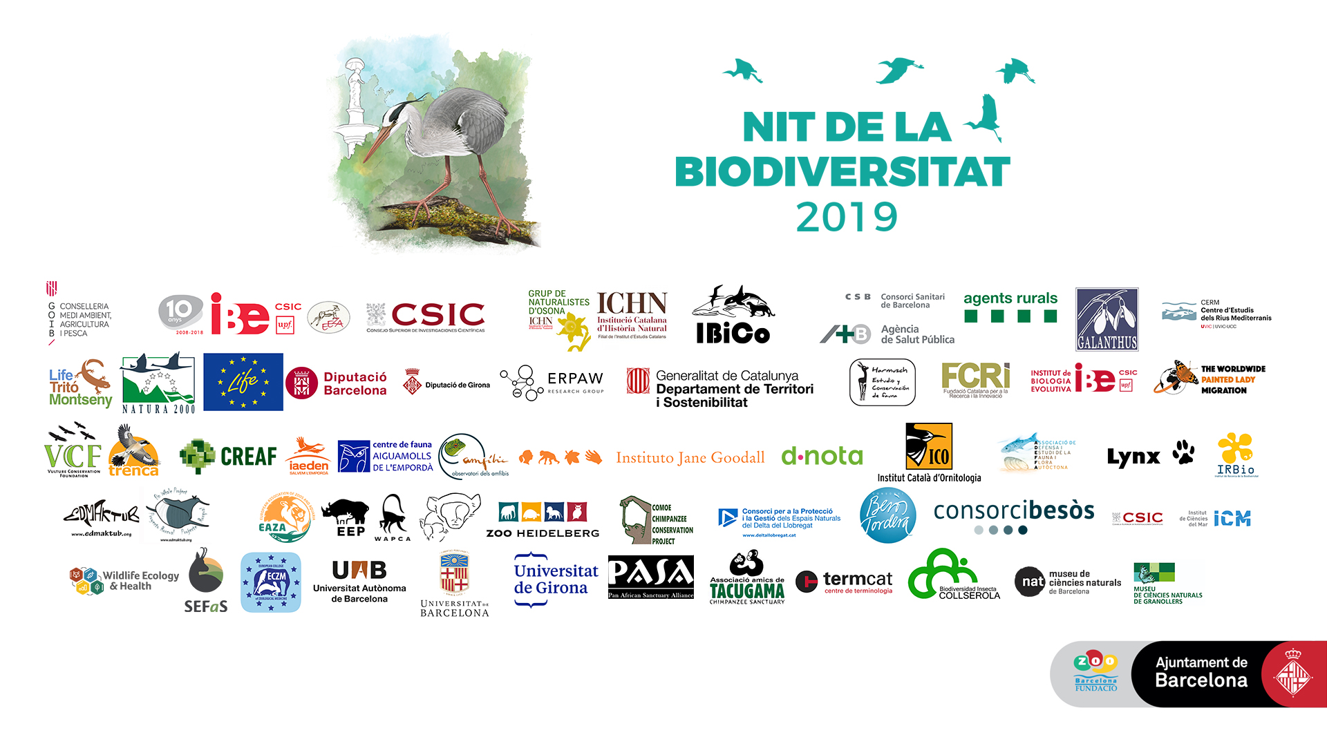 Nit Biodiversitat 2019 Zoo Bcn