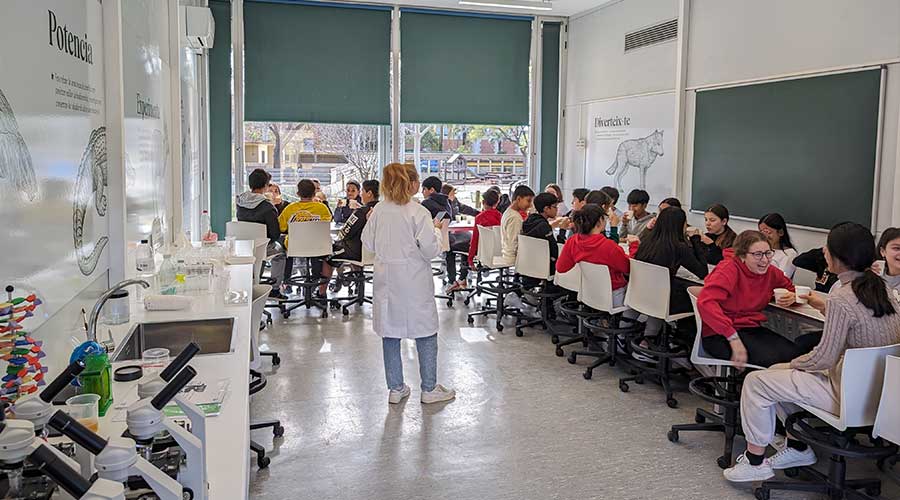 laboratori