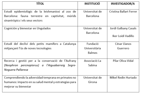 projectes