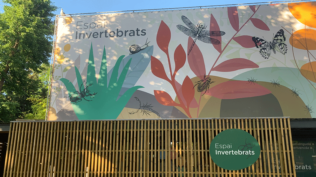 Espai Invertebrats Zoo de Barcelona