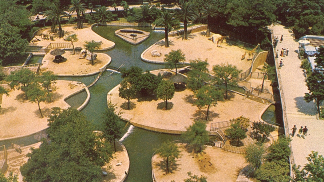 1963 - Zoo Barcelona