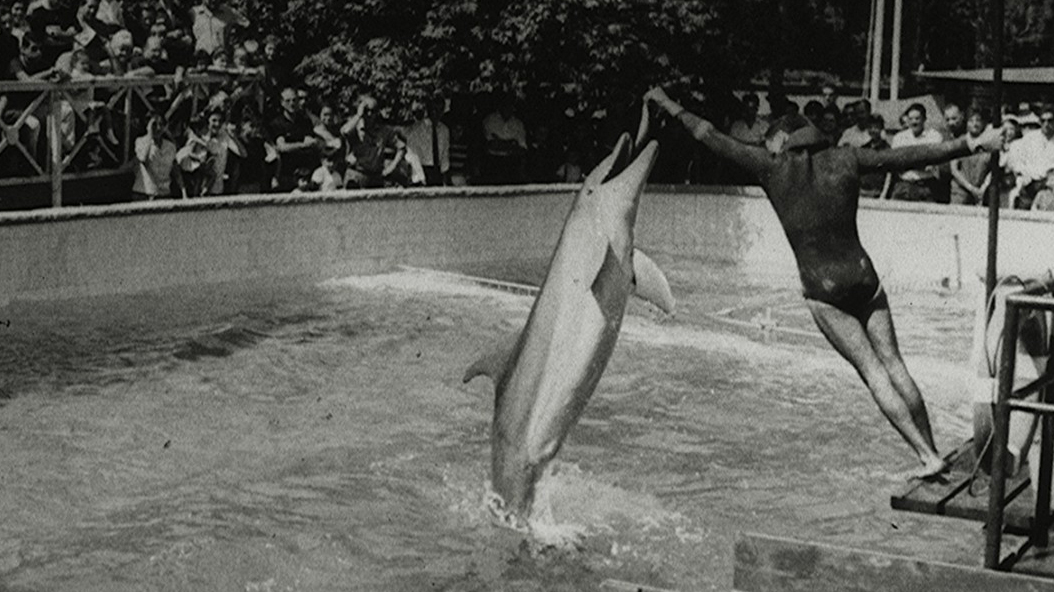 1968 - Zoo Barcelona