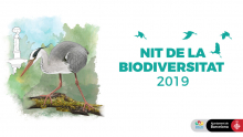 NIt de la Biodiversitat 2019 Zoo Bcn