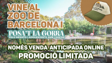 Posa't la gorra