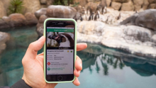 We’re re-launching our free app!