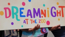 Dreamnight at the zoo