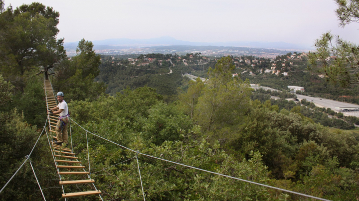 Insectes del Parc de Collserola