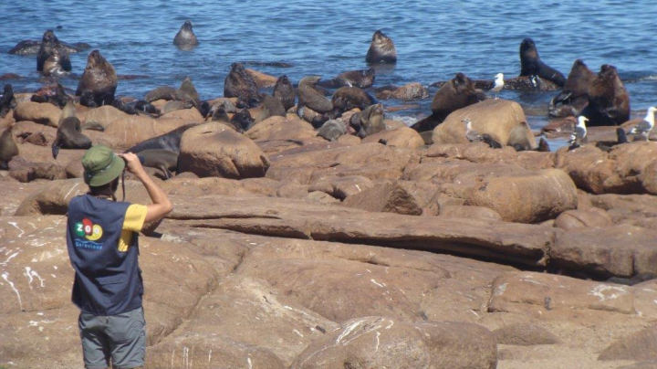 Predadores del Río de la Plata