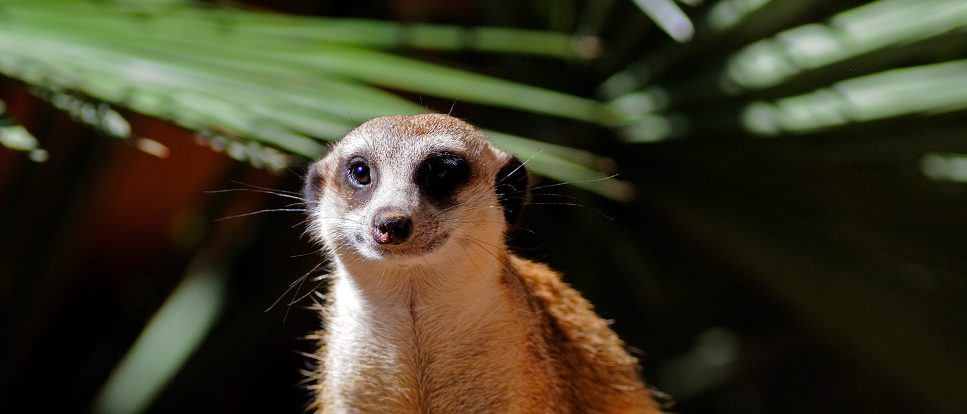 Espais del Zoo Barcelona